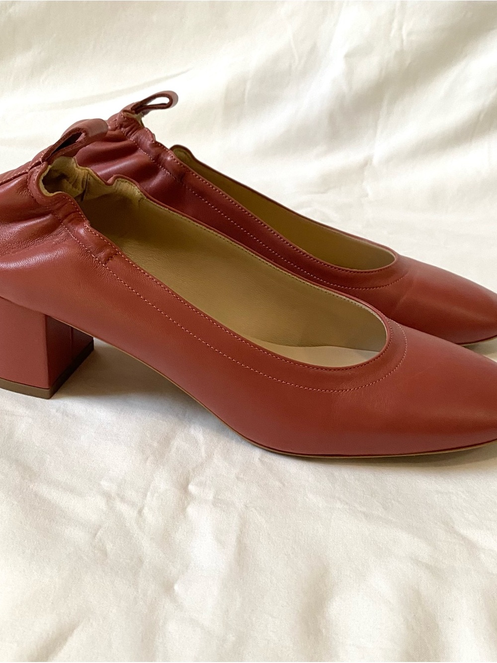 Everlane Italian Leather Day Heel Pumps Block Heel In Burnt Sienna